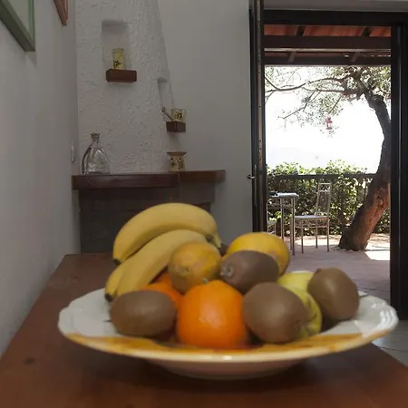 Casa Marina Scario